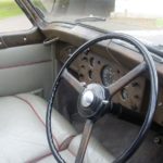 The-car-features-snake-skin-trimming-1