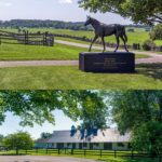 The-estate-is-famed-for-having-produced-the-legendary-Kentucky-Derby-winner-Sea-Hero-1