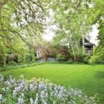 The-garden-and-cinema-building-beyond-1