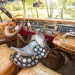 The-interior-of-the-vehicle-takes-wackiness-to-another-level-1