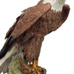 This-model-of-an-eagle-was-the-star-performer-1