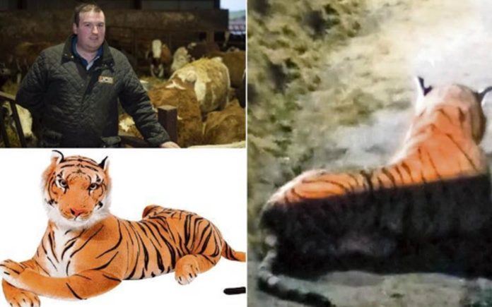 Tigger Bounces into a Cowshed – Armed standoff over cuddly toy – Scottish farmer Bruce Grubb caused an armed standoff after calling police to “tackle a tiger on the loose”; it turned out to be a giant cuddly toy