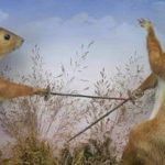 Walter-Potter-squirrel-1