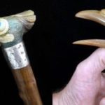 Whimsical-bird-cane-1