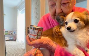 Peeved – Angry granny Mary Ingamells complains about wood in peas – Angry granny Mary Ingamells contacts press to complain about finding a piece of wood in a tin of Tesco carrots and peas; she can also still feel a piece of orange in her throat that was there when she was two.