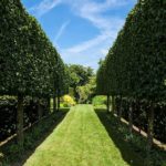 A Reverend’s Residence – £975,000 for Hailsham Grange, Vicarage Road, Hailsham, Wealden, East Sussex, BN27 1BL at Savills auction on 26th March 2020 – Part vacant Grade II* listed Queen Anne former vicarage in East Sussex to be auctioned online (due to the coronavirus outbreak).