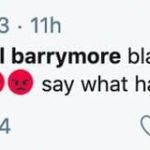 The Baloney of Barrymore – Michael Barrymore disgraces himself again – Michael Barrymore’s bizarre rant prior to Channel 4’s documentary about the death of Stuart Lubbock proves him a lying maniac; the crazed nutjob has now also blocked ‘The Steeple Times’