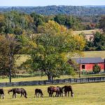 Stunning Stonewall Farm – Co-founder of Calvin Klein Inc. puts his 740-acre equestrian estate just an hour from New York up for sale for £81 million – Stonewall Farm, Mahopac Avenue, Granite Springs, Westchester County, New York, NY 10527, United States of America is for sale through Christie’s International Real Estate.