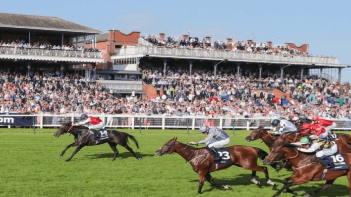 Coming up for Ayr – Ayr Gold Cup Handicap, 19th September 2020 – ‘The Steeple Times’ analyses the top picks for today’s Ayr Gold Cup Handicap and opts for a tidy priced 28/1 option.