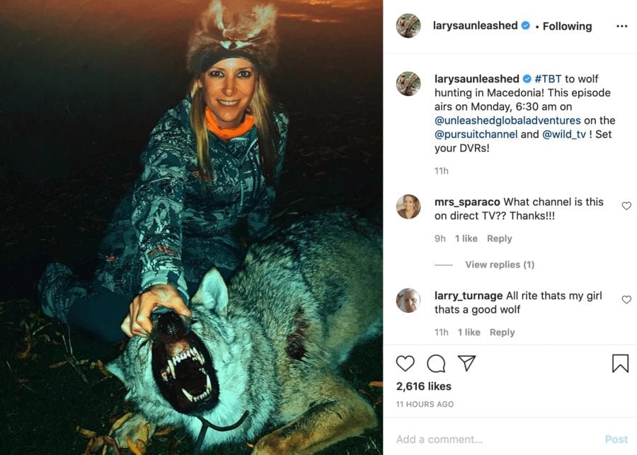 Monster of the Moment – Larysa Switlyk kills wolf and Coke’s hartebeest – Massacring monster Larysa Switlyk boasts about killing an endangered Coke’s hartebeest and a wolf also; she shares such for personal profit and frankly Instagram should be ashamed of itself for enabling her.