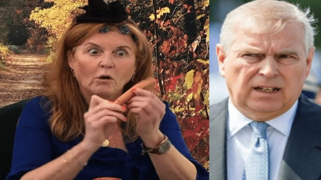 Bathtub Bonkers – Prince Andrew and Fergie and bathtubs – As a poll in ‘The Sun’ reveals 89% of participants do not want to see alleged bathtub shagger Prince Andrew return to public duty, his batshit bonkers ex-wife makes what she calls ‘bathtub teddies.’