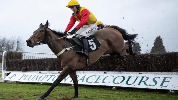 Runners & Riders – Welsh Grand National 2020 – ‘The Steeple Times’ examines the tipsters’ selections and offers a couple of options for the rescheduled Welsh Grand National 2020 at Chepstow.
