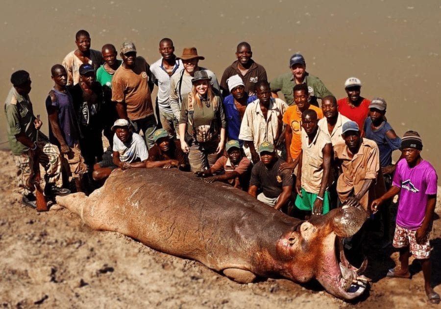Hippo Harridan 2021 – Larysa Switlyk – Not content with butchering bears, barbarian bitch Larysa Switlyk has headed to Africa to harm hippos; this harridan must be stopped.