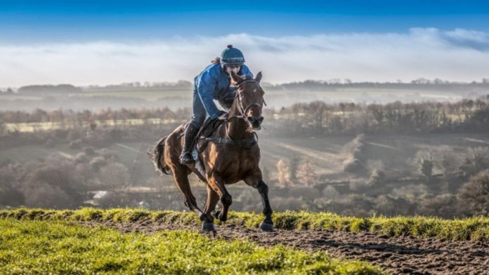 Runners & Riders – The Classic Chase 2021 at Warwick – ‘The Steeple Times’ examines the tipsters’ selections and offers 4 options for The Classic Chase 2021 at Warwick – as well as a 15/1 at Market Rasen.