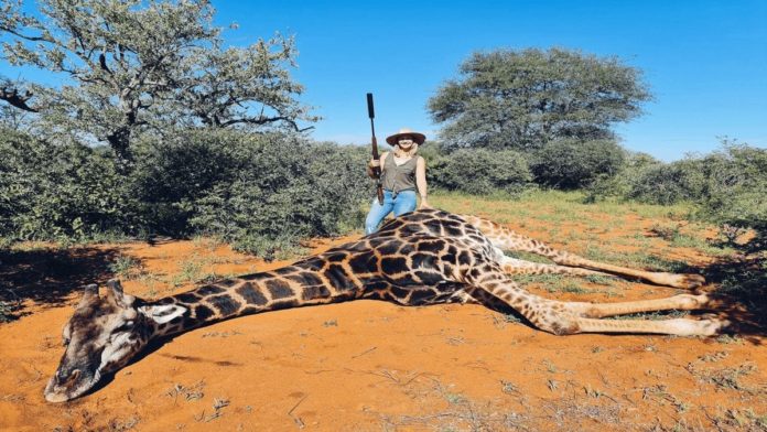 Ban Merelize van der Merwe from Facebook in 2021 – Change.org petition started by ‘The Steeple Times’ seeking to ban giraffe slaying monster Merelize van der Merwe from Facebook goes viral with over 4,000 signatures in less than 24 hours.