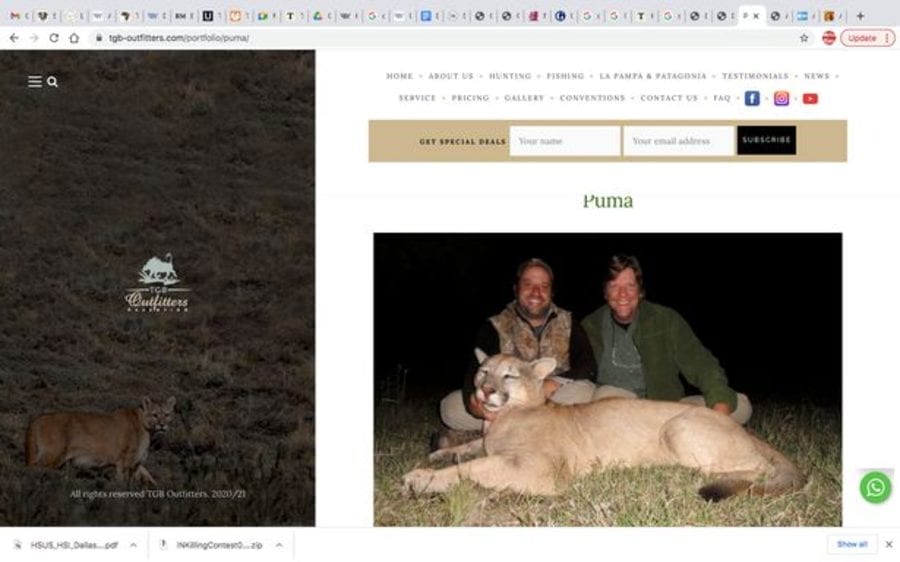 Diabolical in Dallas – Dallas Safari Club auction black rhino killing – As the Dallas Safari Club disgustingly auction off an “opportunity” to kill an endangered black rhino, we urge readers to support our petition to put a stop to their shameless poster girl Larysa Switlyk.