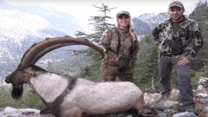 Saving Ibex; Stopping Switlyk – Stopping hunting rare ibex in 2021 – As the ‘Guardian’ report on trophy hunters flocking to Sudan to shoot rare ibex, we remind the public to support our Change.org petition to put a stop to mentally unhinged ibex slaughterer Larysa Switlyk.