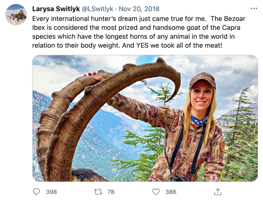 Saving Ibex; Stopping Switlyk – Stopping hunting rare ibex in 2021 – As the ‘Guardian’ report on trophy hunters flocking to Sudan to shoot rare ibex, we remind the public to support our Change.org petition to put a stop to mentally unhinged ibex slaughterer Larysa Switlyk.