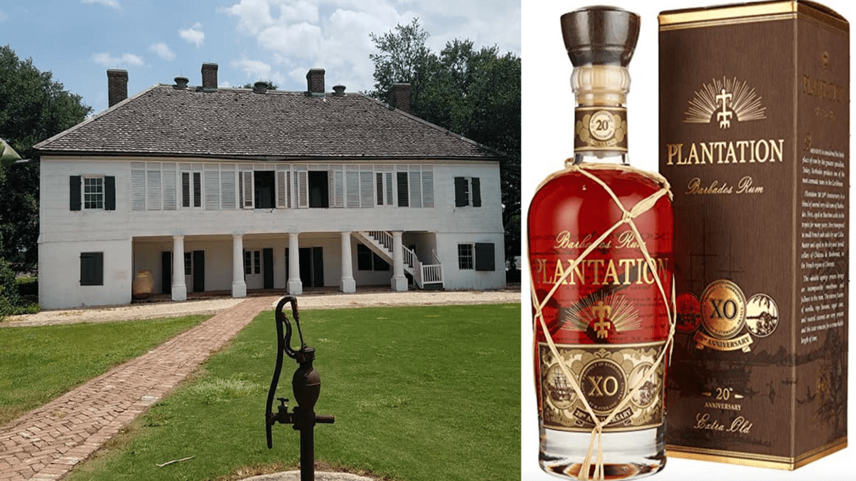 Cancel Culture Crazy – Call For Plantation Rum To Be Cancelled Is Nothing But Woke Wazzock Warbling