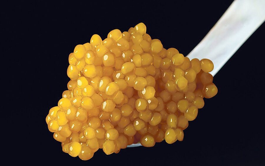 Alamas caviar