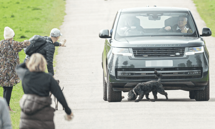 Prince Andrew nearly runs over dog