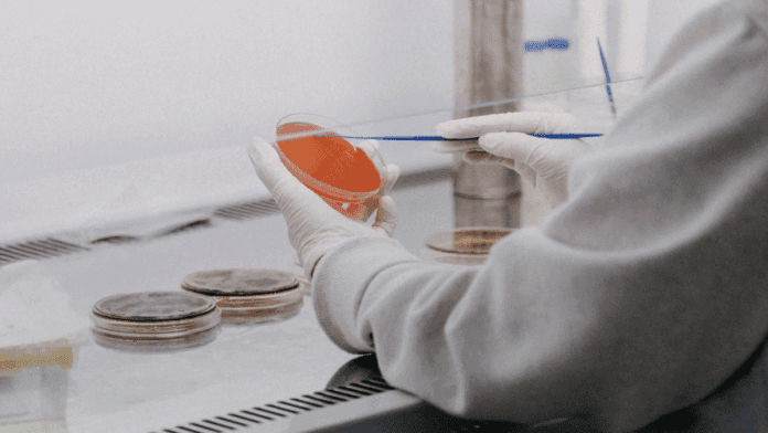 The Properties of Peptides